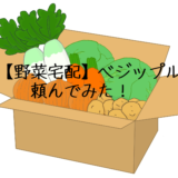 【野菜宅配】ベジップル　頼んでみた！