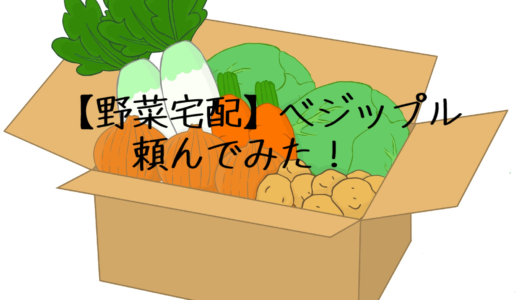 【野菜宅配】ベジップル　頼んでみた！